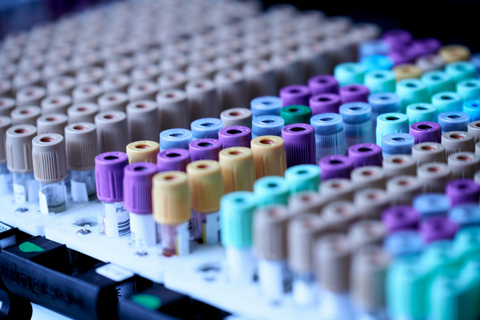 phlebotomy